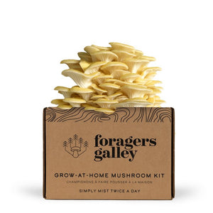 Foragers Galley Mushroom Kits