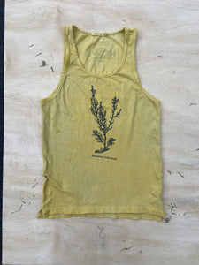 High Desert Tank