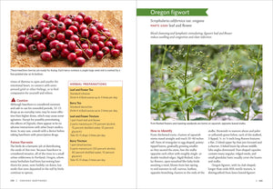 Pacific Northwest Medicinal Plants