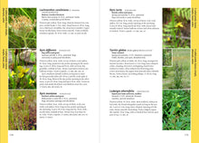 Wildflowers of the Pacific Northwest - Mark Turner & Phyllis Gustafson