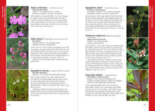 Wildflowers of the Pacific Northwest - Mark Turner & Phyllis Gustafson