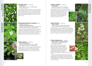 Wildflowers of the Pacific Northwest - Mark Turner & Phyllis Gustafson